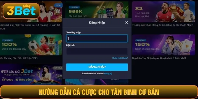 Hướng dẫn cá cược cho tân binh cơ bản