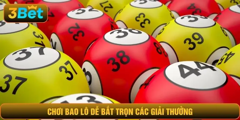 Chơi bao lô dễ bắt trọn các giải thưởng