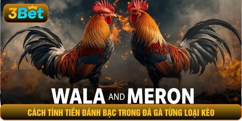 Cách tính tiền đánh bạc trong đá gà từng loại kèo