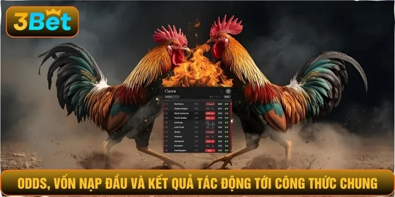 Odds, vốn nạp đầu và kết quả tác động tới công thức chung