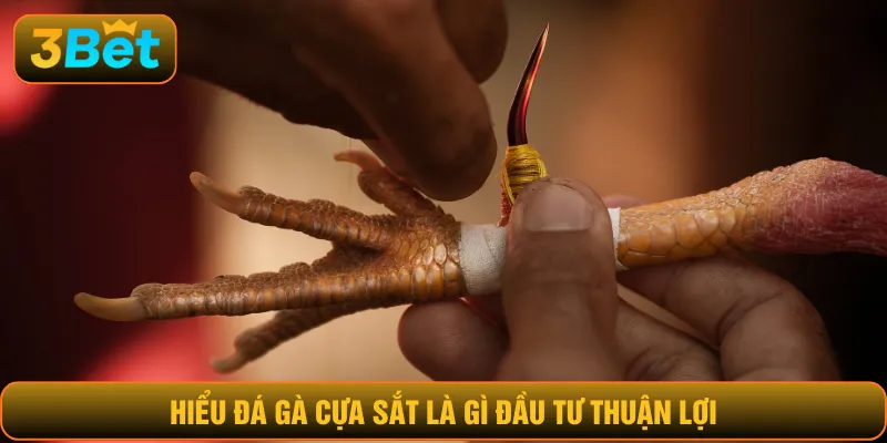 Hiểu đá gà cựa sắt là gì giúp bạn đầu tư thuận lợi