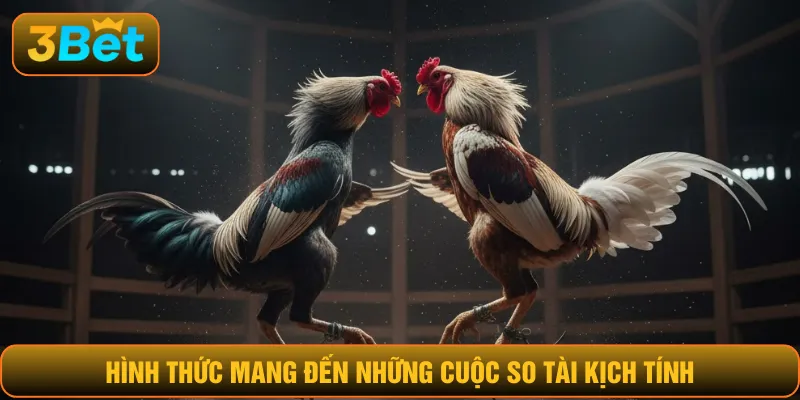 Hình thức mang đến những cuộc so tài kịch tính