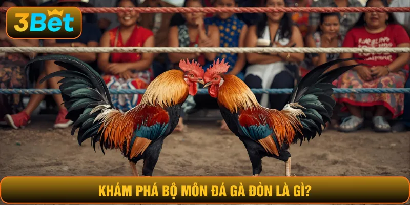 Khám phá bộ môn đá gà đòn là gì?
