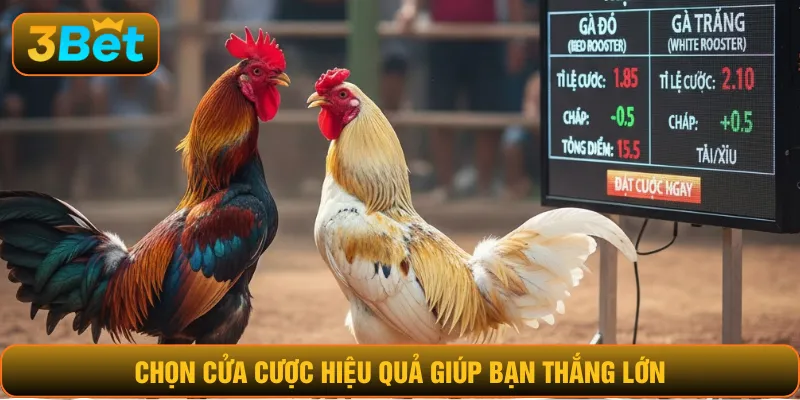 Chọn cửa cược hiệu quả giúp bạn thắng lớn