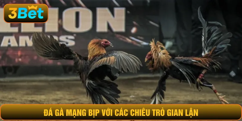 Đá gà mạng bịp với các chiêu trò gian lận