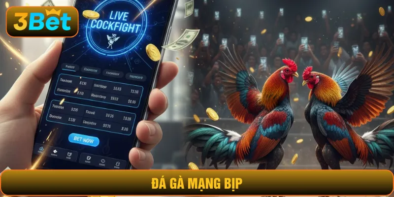 Đá gà mạng bịp
