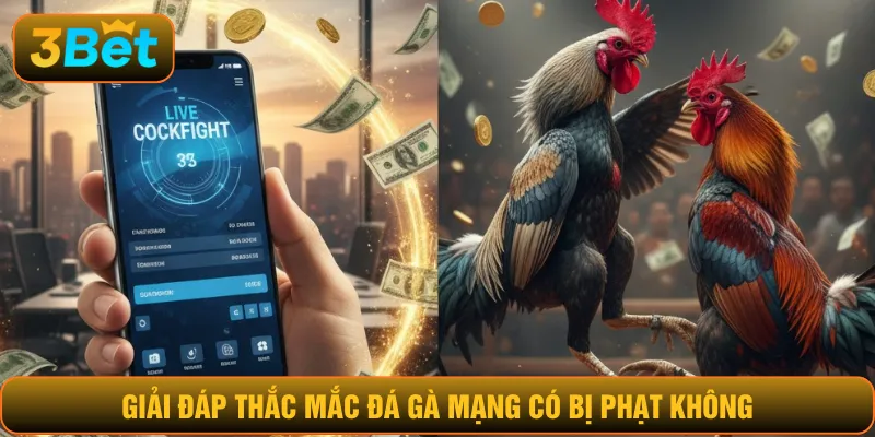 Giải đáp thắc mắc đá gà mạng có bị phạt không