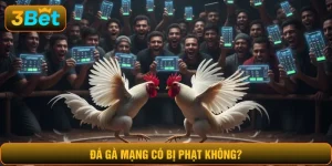 đá gà mạng có bị phạt không