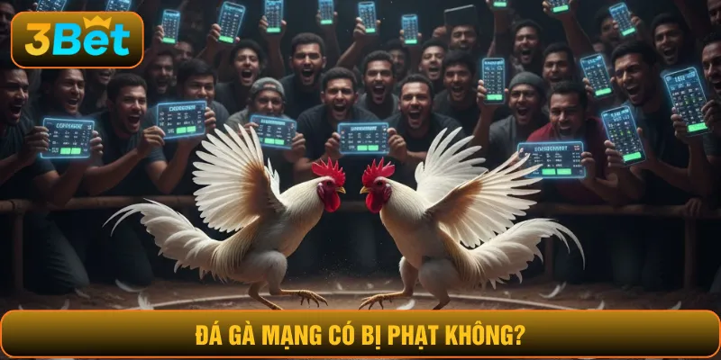 đá gà mạng có bị phạt không