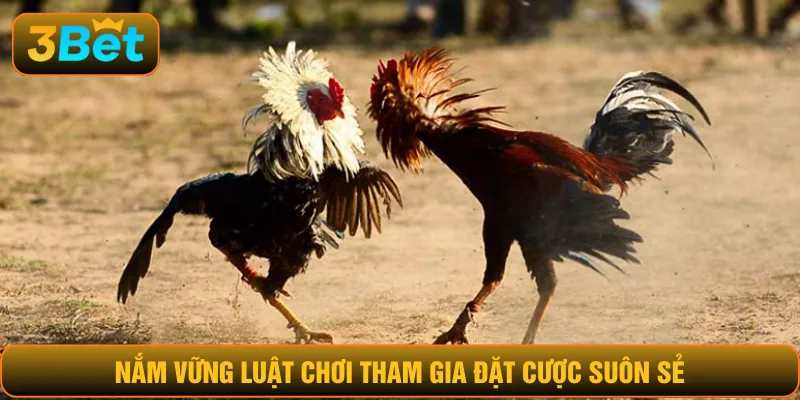Nắm vững luật chơi tham gia đặt cược suôn sẻ