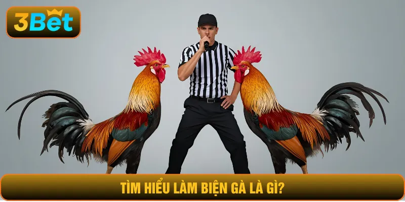 Tìm hiểu làm biện gà là gì?