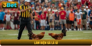 làm biện gà là gì