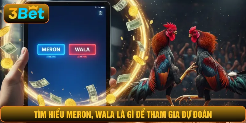 Tìm hiểu Meron, Wala là gì để tham gia dự đoán