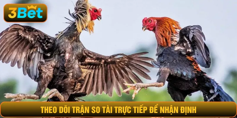Theo dõi trận so tài trực tiếp để nhận định