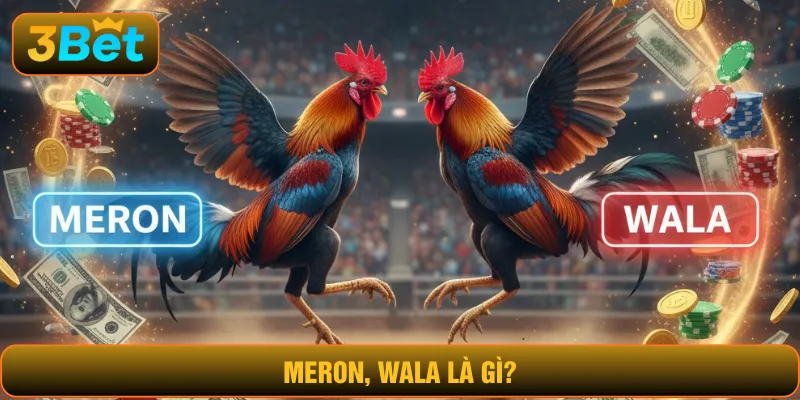 Meron Wala là gì