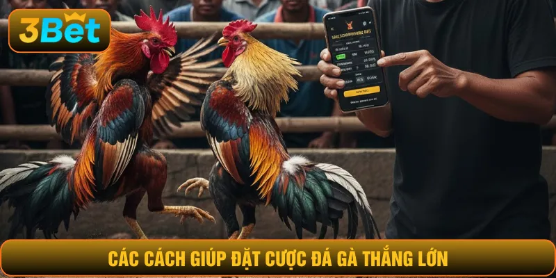 Tham gia địa chỉ có giấy phép hoạt động minh bạch