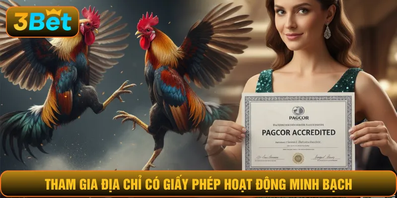 Các cách giúp đặt cược đá gà thắng lớn