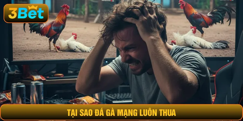 tại sao đá gà mạng luôn thua