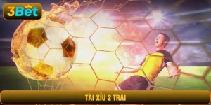 Tài xỉu 2 trái