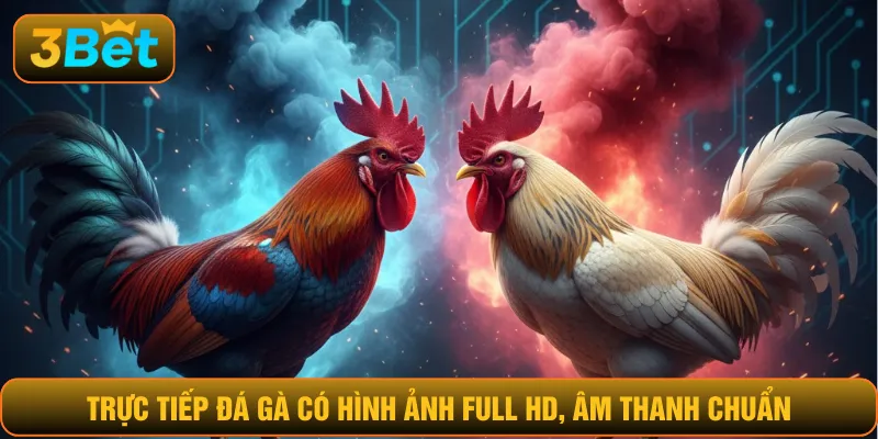 Trực tiếp đá gà có hình ảnh Full HD, âm thanh chuẩn