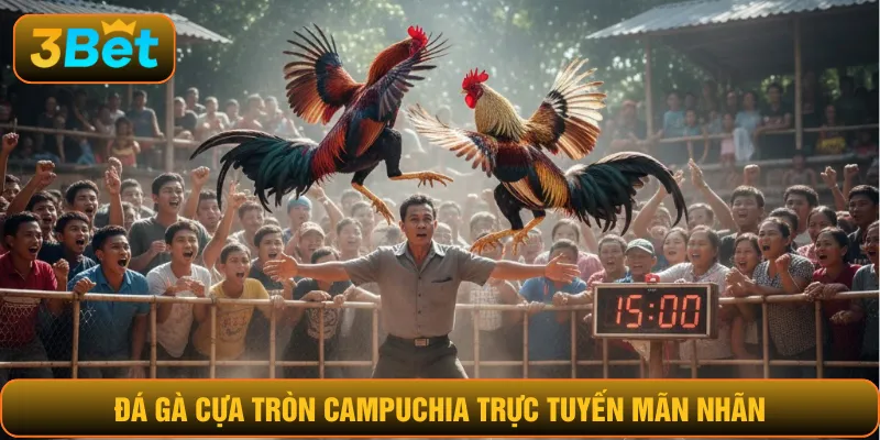 Đá gà đòn Campuchia trực tuyến mãn nhãn