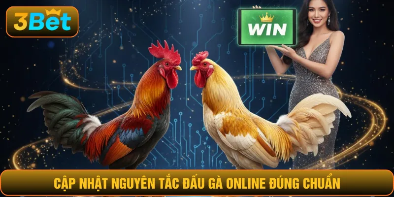 Cập nhật nguyên tắc đấu gà online đúng chuẩn