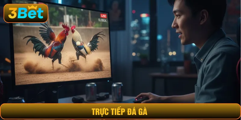 Trực tiếp đá gà