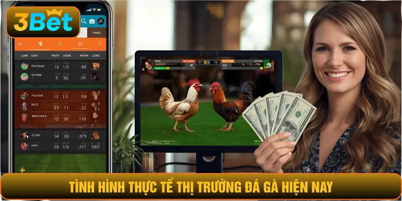 Tình hình thực tế thị trường đá gà hiện nay
