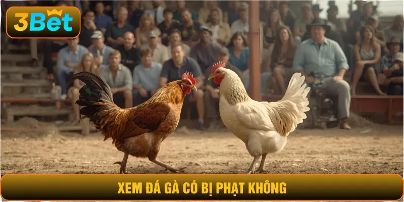 Xem đá gà có bị phạt không